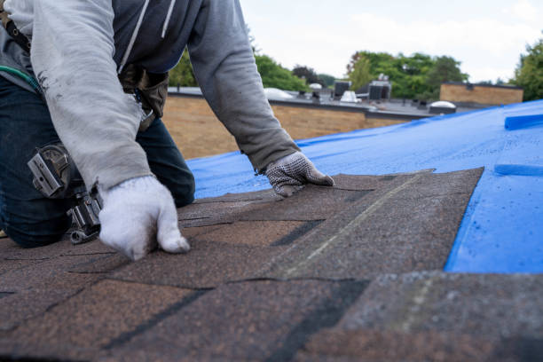 Best Commercial Roofing Services  in Waterloo, WI