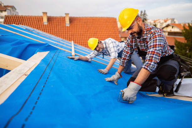 Best Storm Damage Roof Repair  in Waterloo, WI