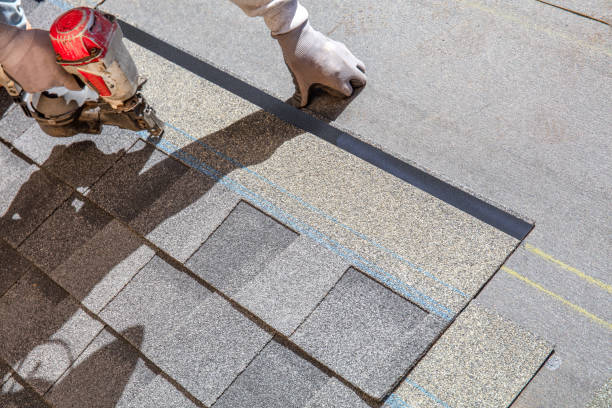 Best Shingle Roofing Installation  in Waterloo, WI